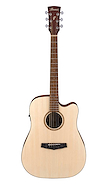 IBANEZ PF10CEOPN