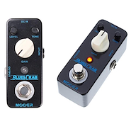 MOOER BLUES CRAB