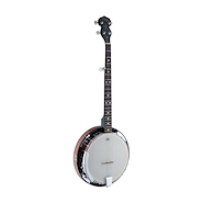 STAGG BJW24DL