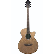 WASHBURN WA45CE N