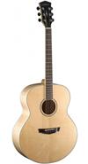 PARKWOOD PW-340FM-NS Guitarra Acustica 