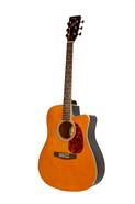 PARQUER GAC150RB Guitarra Acustica Mystic Con Corte