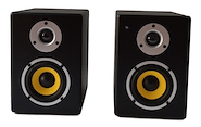 PARQUER BX4A PAR DE MONITORES ACT+PAS 4"