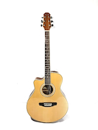 PARQUER GACL110MCLB Guitarra Acustica Master Mini Jumbo Corte-Zurdos Funda