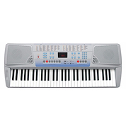RINGWAY CK62 Teclado 5 Octavas, Display Led - Polifonia 16 Notas - 20 Voc