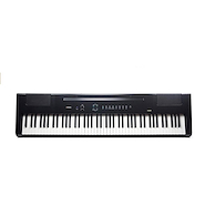 ARTESIA PA88H Piano Digital