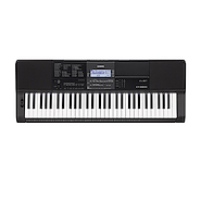 Organo CASIO CT-X800