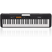 Organo <br/>CASIO CT-S100