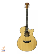 Guitarra Electroacustica Acero FIELD YWAG-1009SWEQ