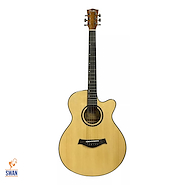 Guitarra Electroacustica Acero FIELD YWAG-1009SWEQ