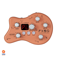 Pedalera Efecto Guitarra FLAMMA FX50