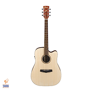 Guitarra Electroacustica Acero IBANEZ PF10CE OPN Open Pore Natural