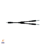 Cable <br/>PROEL BULK505LU3 2 Pl 6.3 ST a Miniplug St 3mts