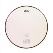 Parche <br/>REMO ASIA Ambassador Clear 15"