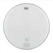 Parche REMO ASIA Ambassador Coated 18