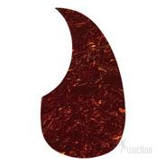 Pickguard Acustica SAMBONG PM21 Carey