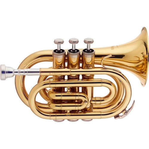 Trompeta STAGG WSTR245S Bb Pocket
