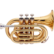 STAGG WSTR245S Bb Pocket Trompeta