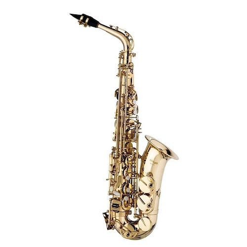 Saxo Tenor STAGG WSTS215S High F#