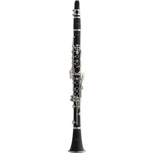 STAGG WSCL110 Clarinete