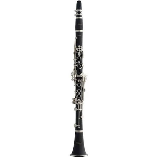 Clarinete STAGG WSCL210