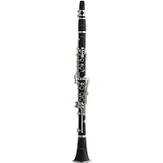 Clarinete <br/>STAGG WSCL110