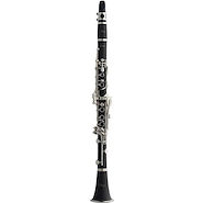 Clarinete STAGG WSCL210