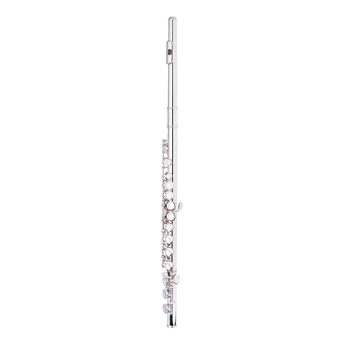 STAGG WSFL111 Flauta Traversa