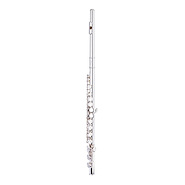 STAGG WSFL111 Flauta Traversa