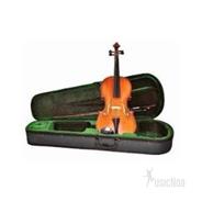 STEINNER STRAUSS DVN102 4/4 Violin c/Arco y Estuche