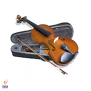 Violin c/Arco y Estuche VALENCIA V160 1/16