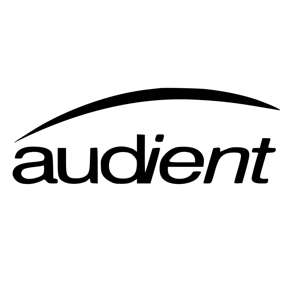 AUDIENT