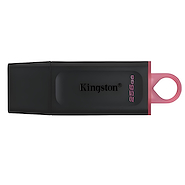 KINGSTON 256Gb