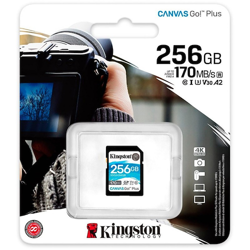 KINGSTON SD 256Gb