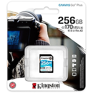 KINGSTON SD 256Gb