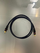 MONSTER RCA x1