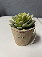 ALPAMARIS 700010 MACETA MINI CACTUS