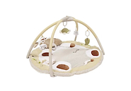 CARESTINO PL005 VACA GIMNASIO DIDACTICO