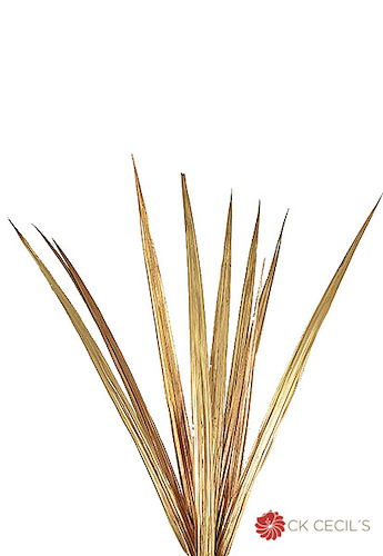 FLORESER NAS2245 VARA HOJA NIPA LEAF X10