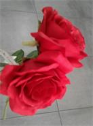 FLORESER FS03651 VARA ROSA rosas / rojas