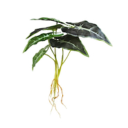 JUNKO FA314 PLANTA C/RAIZ 28CM