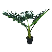JUNKO FA190 MACETA  PLASTICA C/ PLANTA COSTILLA DE ADAN  9X60cm