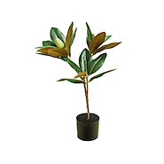 JUNKO FA213 MACETA  PLASTICA C/ PLANTA MAGNOLIA 60cm