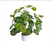 JUNKO FA160/FA168 MACETA  PLASTICA C/ PLANTA  9X32cm