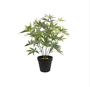 JUNKO FA148 MACETA  PLASTICA C/ PLANTA   7X36cm