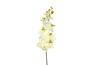 JUNKO FA157 VARA ORQUIDEA BLANCA