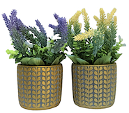 MANOS TEXTILES 120579 MACETA CERAMICA C/  PLANTAS VARIAS