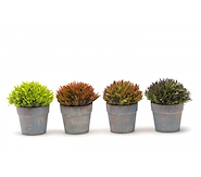 MANOS TEXTILES 120634 MACETA MADERA C/  PLANTAS VARIAS