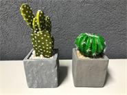 MANOS TEXTILES 17051373 MACETA resina C/ CACTUS c/u