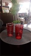 MISHKA 0117656 old fashion VASO 300ml Rojo
